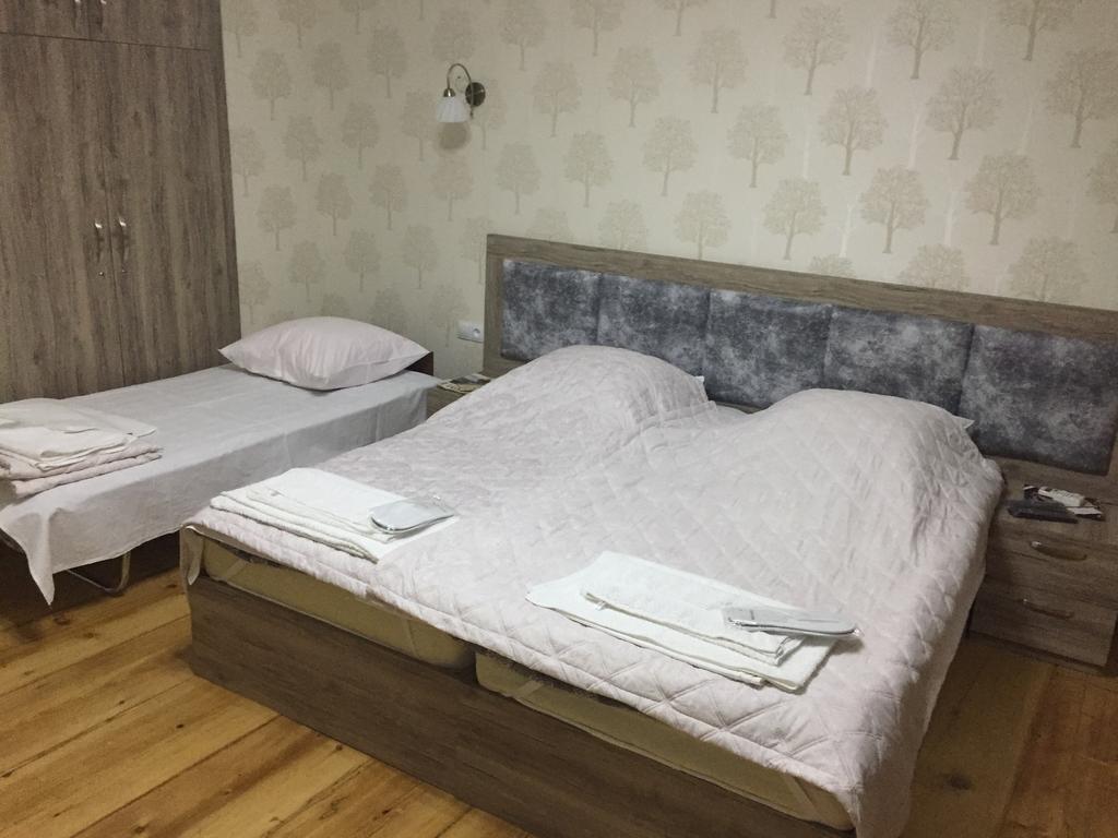 Guest House Rafael ティビリシ エクステリア 写真